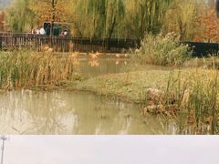 -上方山森林动物世界