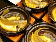 -大浪潮·潮汕菜·招牌生腌小青龙(福田店)