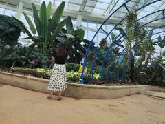 -石家庄市植物园