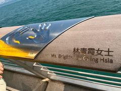 -星光大道