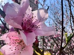 -百姓康洁洗浴中心