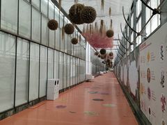 -上海鲜花港