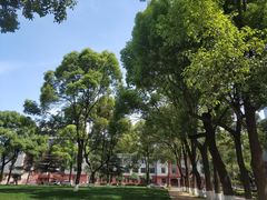 -四川大学(望江校区)