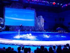 -华夏文旅海洋公园