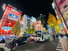 -秋叶原电器街