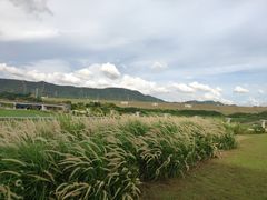 -光明小镇欢乐田园