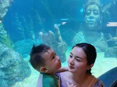 -暹罗海洋世界