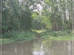 -桤木河湿地公园