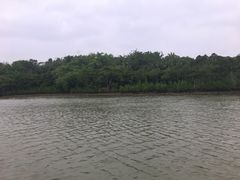 -东寨港红树林旅游区