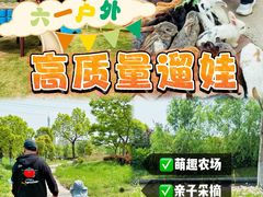 -菊园百果园