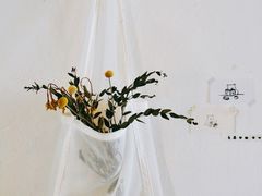 -春风十里咖啡馆