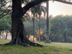 -东莞植物园