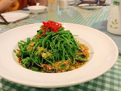 捞拌丝瓜尖-朝郡酒家·粤菜(燕大星苑店)