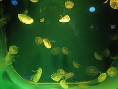 -台州海洋世界