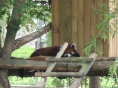 -鄂尔多斯野生动物园