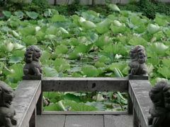-上海醉白池公园
