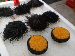 -蚝专家(北滘店)