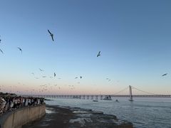 -星海广场