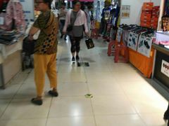 -中国国际会展中心-马甸购物街