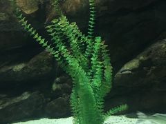 -苏州海洋馆