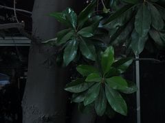 -济南轻骑摩托车有限公司(和平路)