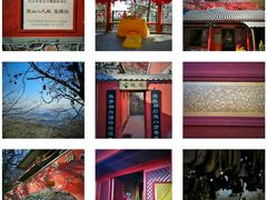 -八大处公园