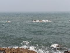 -燕儿岛山公园