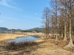 -四明湖