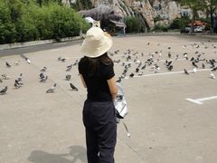 -西霞口神雕山野生动物世界