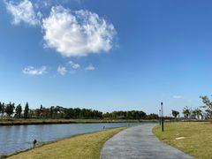 -春花秋色城市公园