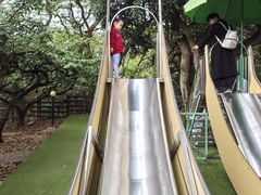 -青青世界