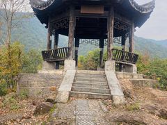 -龙坞茶村