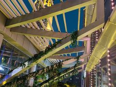 -海底捞火锅(武胜路凯德广场店)