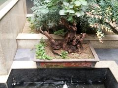-毅祥斋老孙家泡馍(西羊市店)