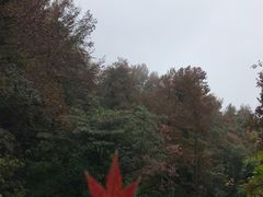-广州市石门国家森林公园