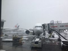 -约翰·菲茨杰拉德·肯尼迪国际机场