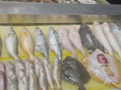 -健眺小海鲜(临海后山店)