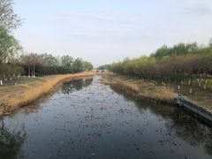 -大兴滨河森林公园