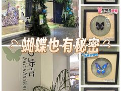 -深圳龙华星河COCO City(民治店)