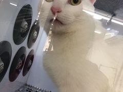 -PETKIT小佩宠物(古北店)