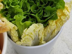 -墨脱石锅椰子鸡•香草鸭•东山羊(大东海店)