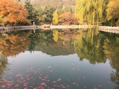 -晋祠宾馆