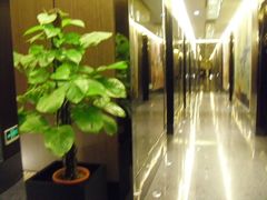 -江滨九号.中餐厅(滨江店)