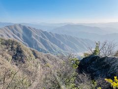 -王顺山国家森林公园