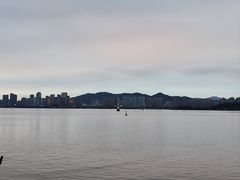 -荣誉海鲜酒楼(海湾店)