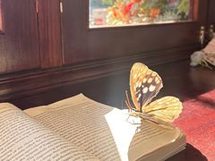 -初甜·舒芙蕾·韩式雪花冰(流塘店)