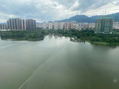 -飞来湖湿地公园