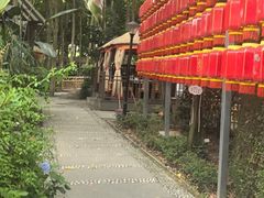 -二荆条·蜀鲜汇城市森林火锅