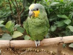 -南宫五洲植物乐园