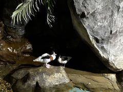 -苏州海洋馆